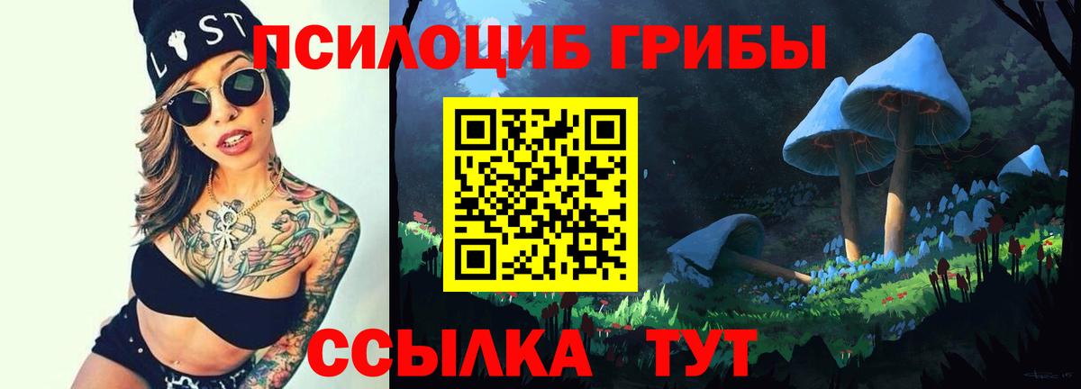 Псилоцибиновые грибы Psilocybine cubensis Новозыбков
