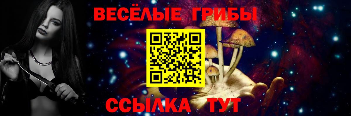 Галлюциногенные грибы прущие грибы  Псилоцибиновые грибы Psilocybe  Вход с VPN  Новозыбков 