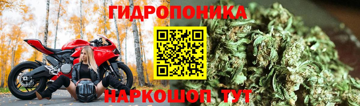 Бошки марихуана тримм Новозыбков
